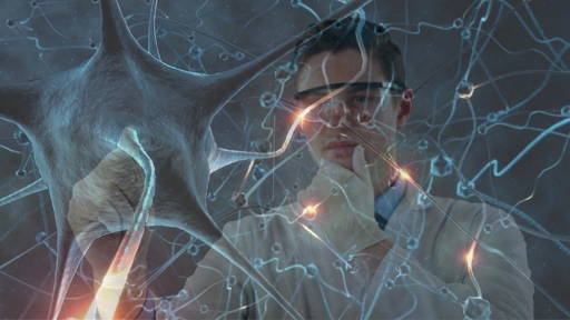 Neurale verbindingen in 3D zichtbaar met nieuwe microscopietechniek