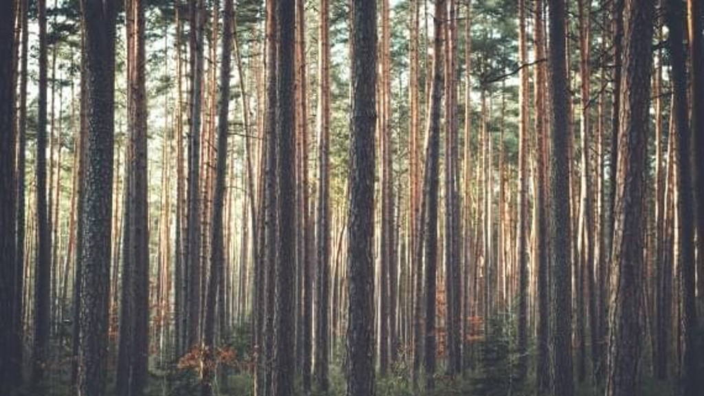 Data mining belicht risicofactoren; nut van virtuele interviewer