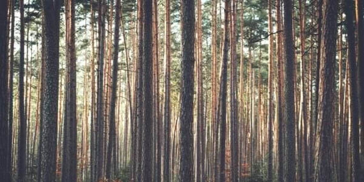 Data mining belicht risicofactoren; nut van virtuele interviewer