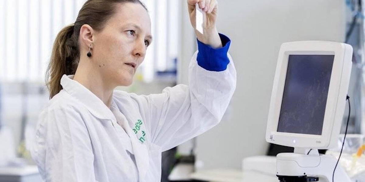 DrHofman-TUe-Botonderzoek