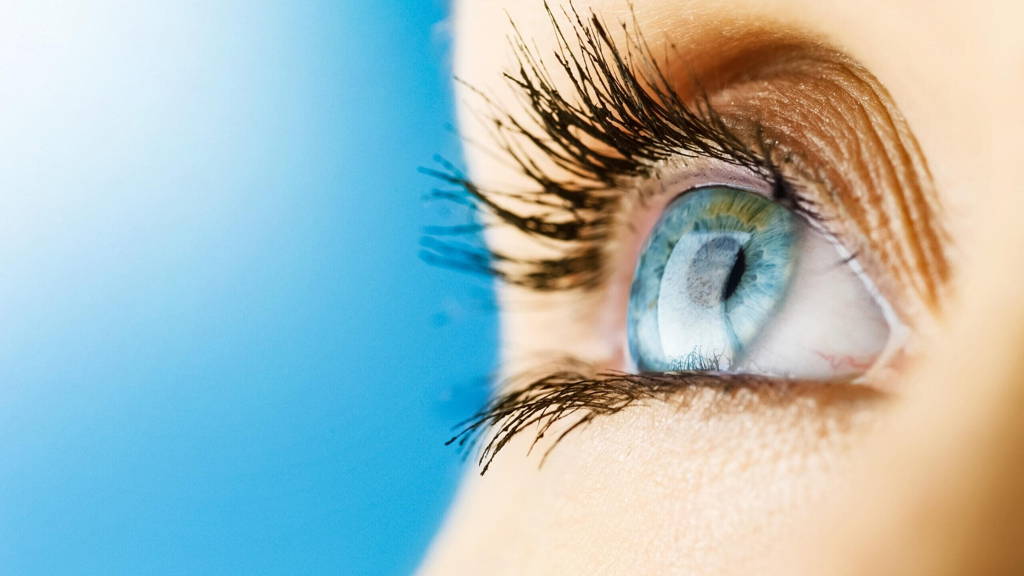 FocalView-Novartis-ICTH-scaled