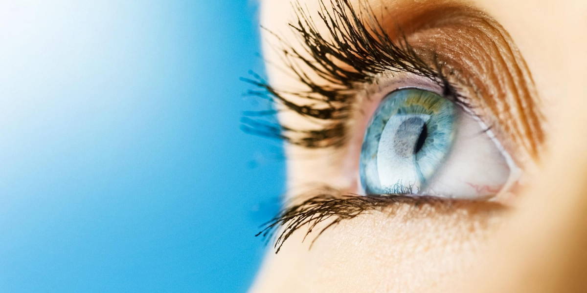 FocalView-Novartis-ICTH-scaled