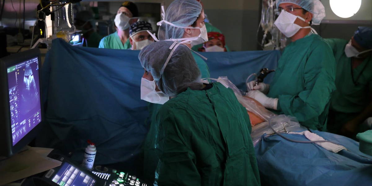 OK-transparant-Sophie-Ann-van-Dalen