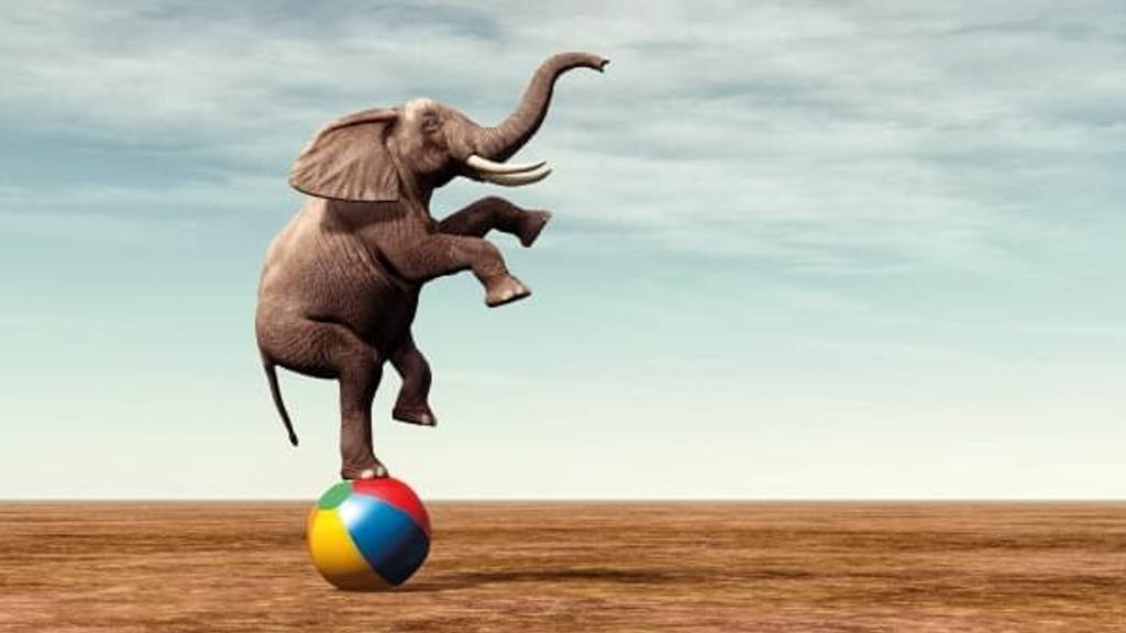 Olifanten laten dansen