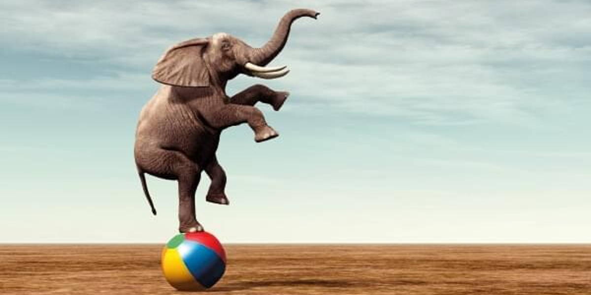 Olifanten laten dansen