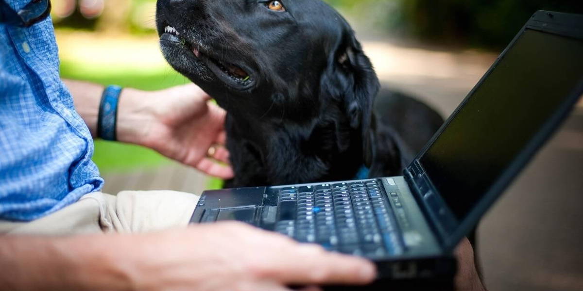 patientportaal-man-hond