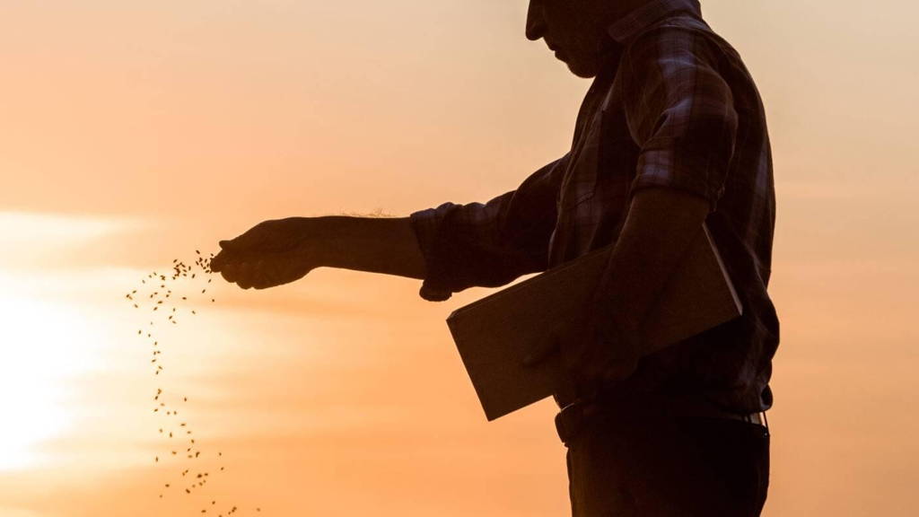 Vele kleuren op het digitale palet
