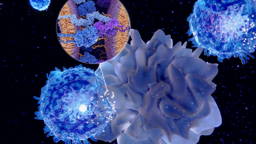 Implantaat helpt immuuncellen kanker beter bestrijden