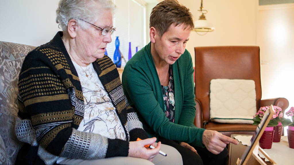 De wildgroei in de tuin van PGO’s