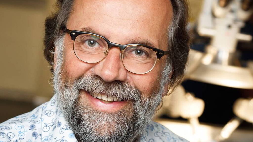 Systeemomkering in de zorg mist overzicht