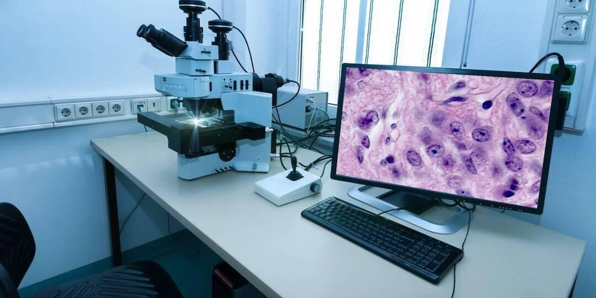 Medische beeldvorming en pathologie: een digitale vergelijking