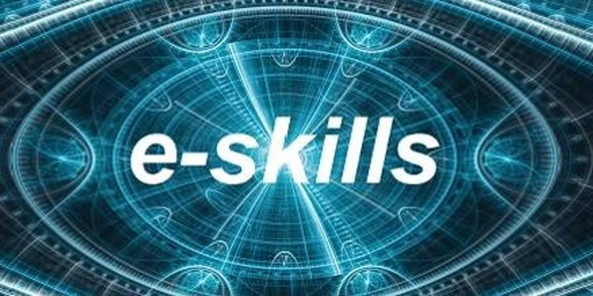 e-skills