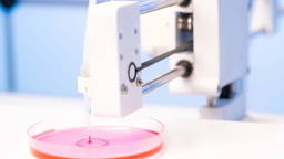 3D-biomateriaal verbetert lab-onderzoek naar hersencellen