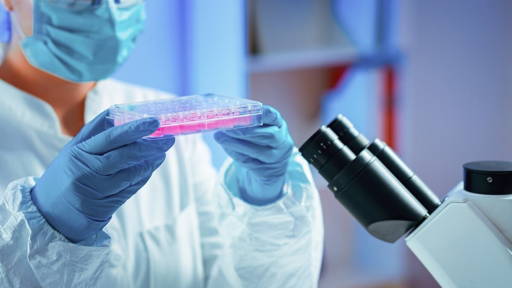 Slimme techniek verbetert zuiverheid stamceltherapie