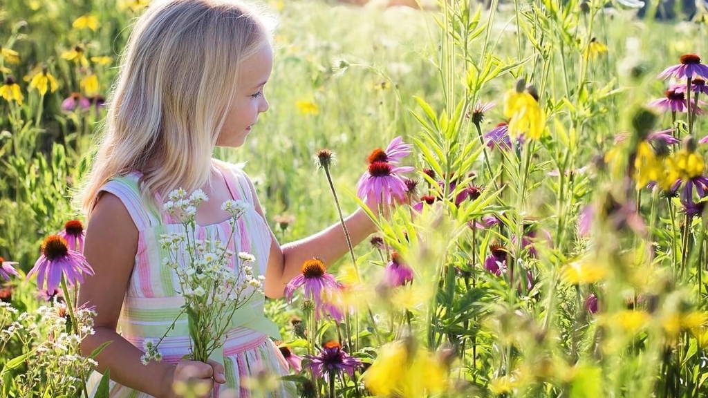 little-girl-2516578_1280