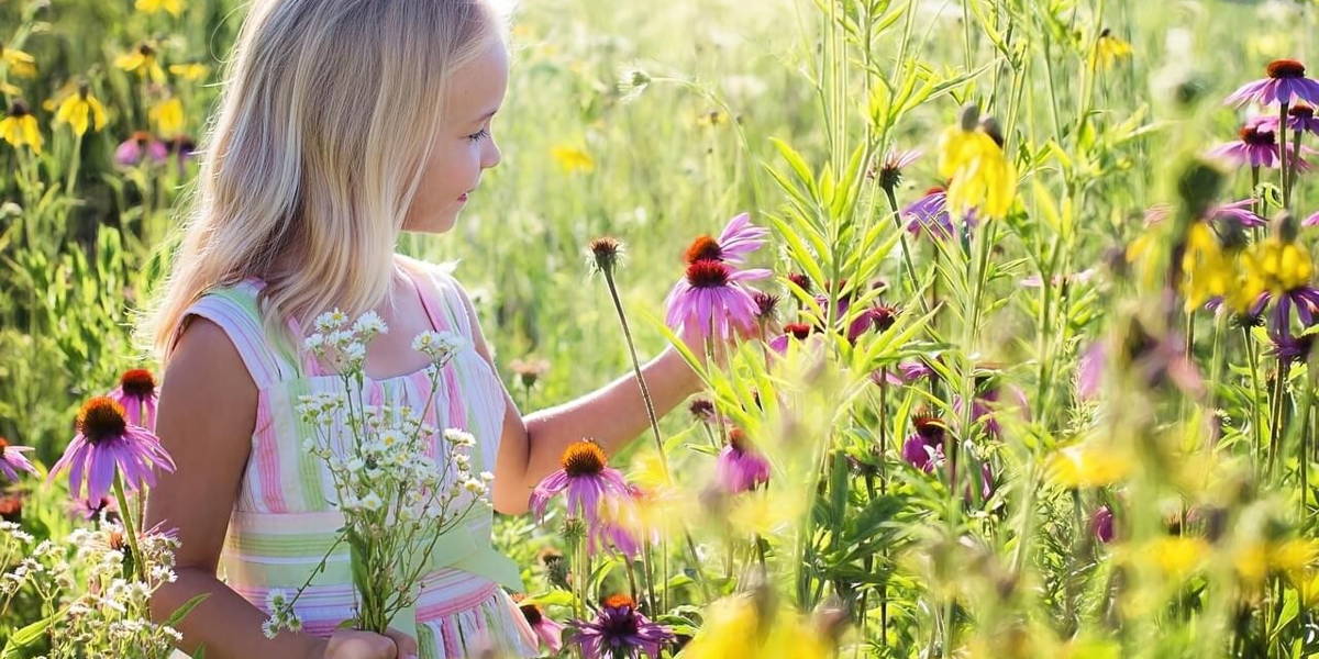 little-girl-2516578_1280