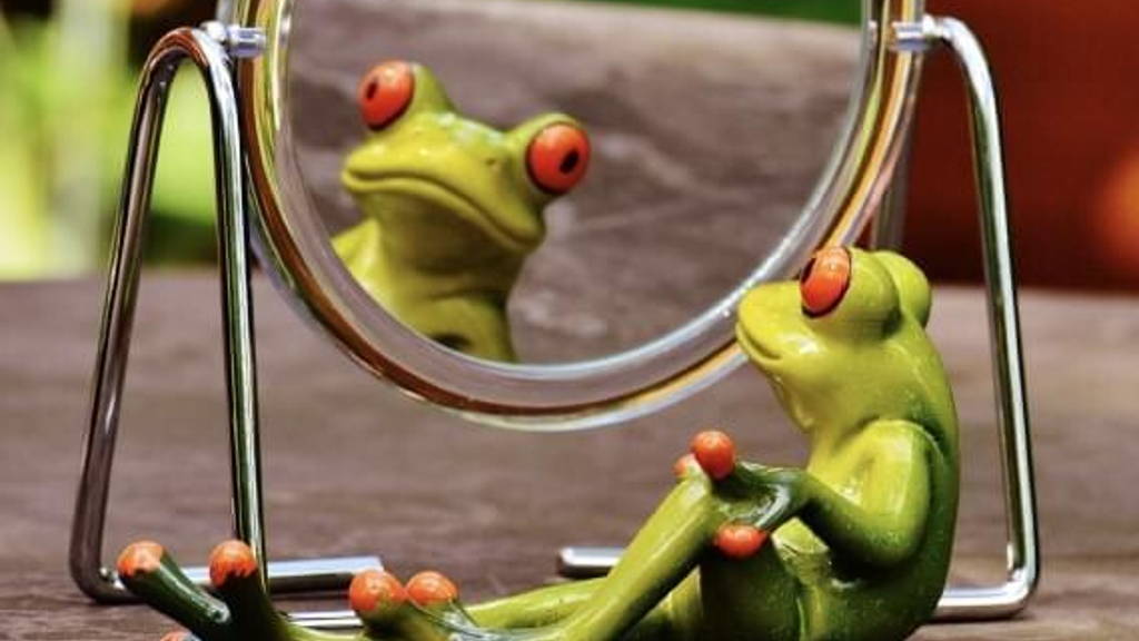 Even eerlijk in de spiegel kijken:  ben jij zelf eigenlijk wel zo digitaal?