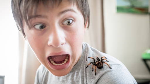 VR system personalizes treatment for arachnophobia