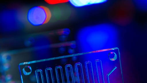 Organ-on-a-chip reveals drug induced muscle and kidney injury