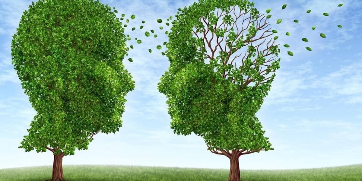 Living With Alzheimers