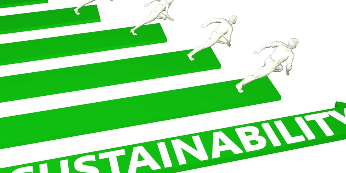 Sustainability Consulting