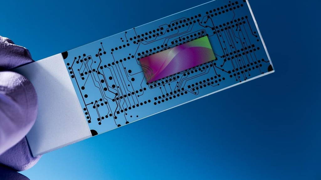 heart-on-a-chip-UMCU