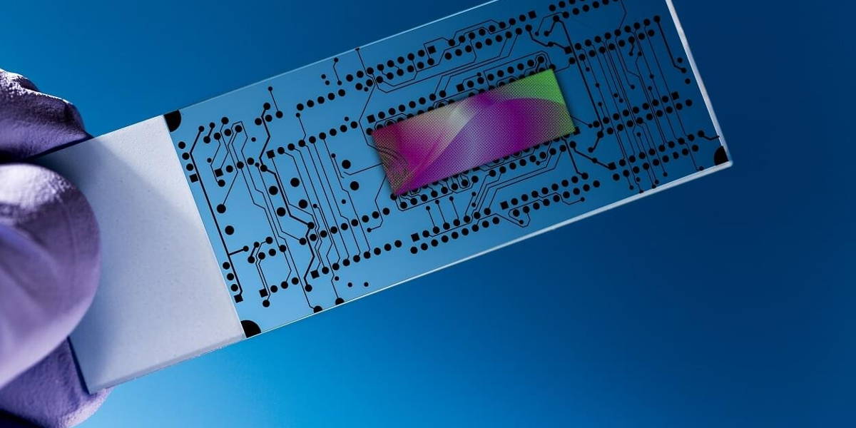 heart-on-a-chip-UMCU