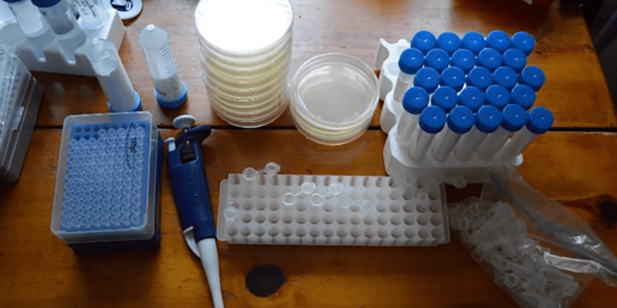 home-crispr-genome-editing-kit-4