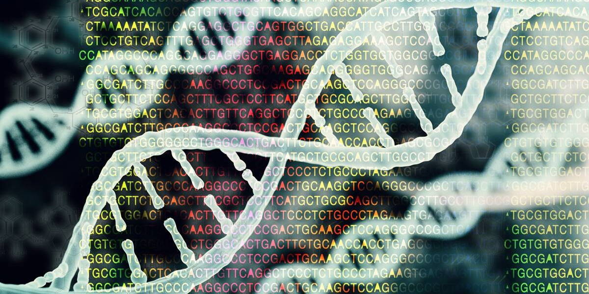 Artificial Intelligence: waar ligt de grens?