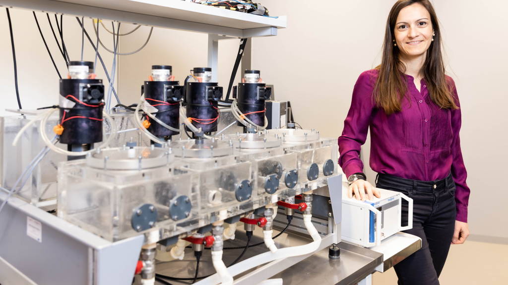 Computational modelling van cardiovasculaire problematiek