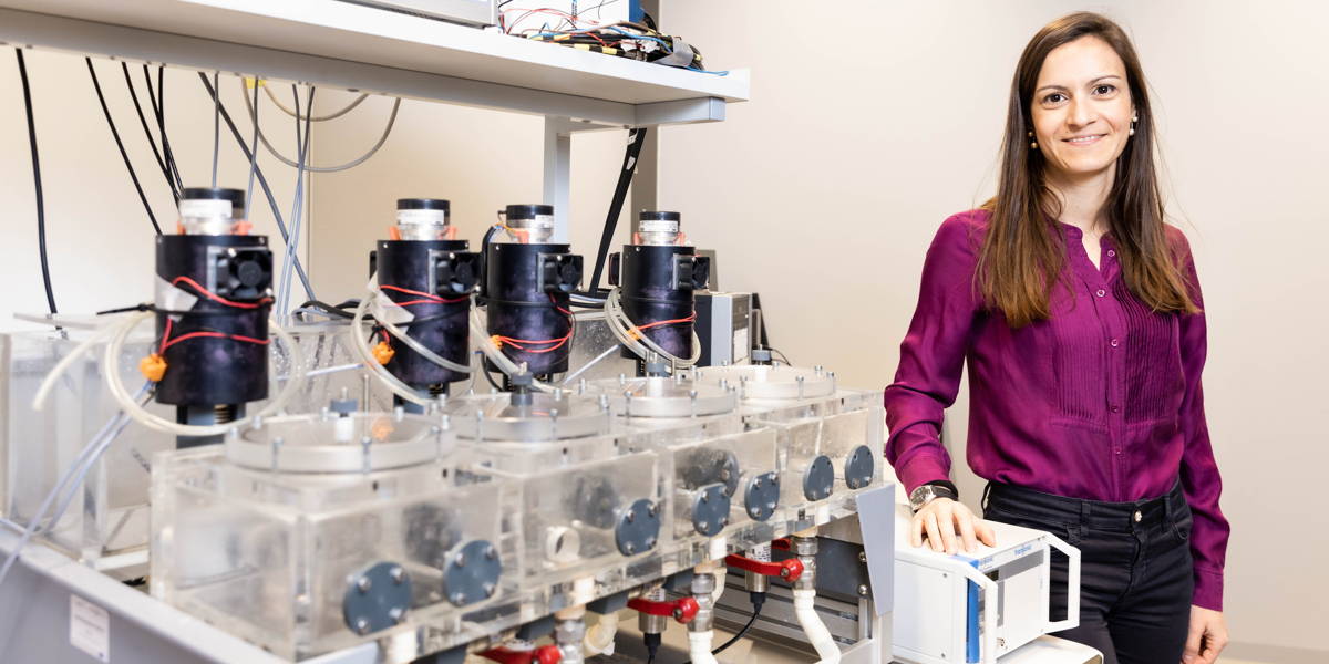 Computational modelling van cardiovasculaire problematiek