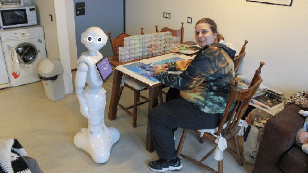 Via onderzoeksuitkomsten naar baten  bij inzet sociale robots