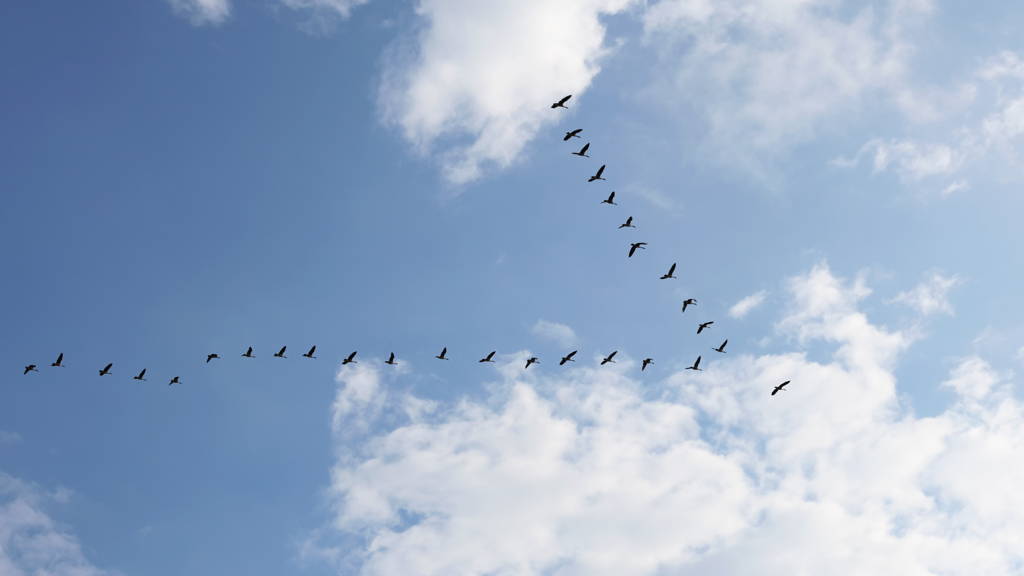 Eén routekaart om samen te werken aan het gezondheidsinformatiestelsel