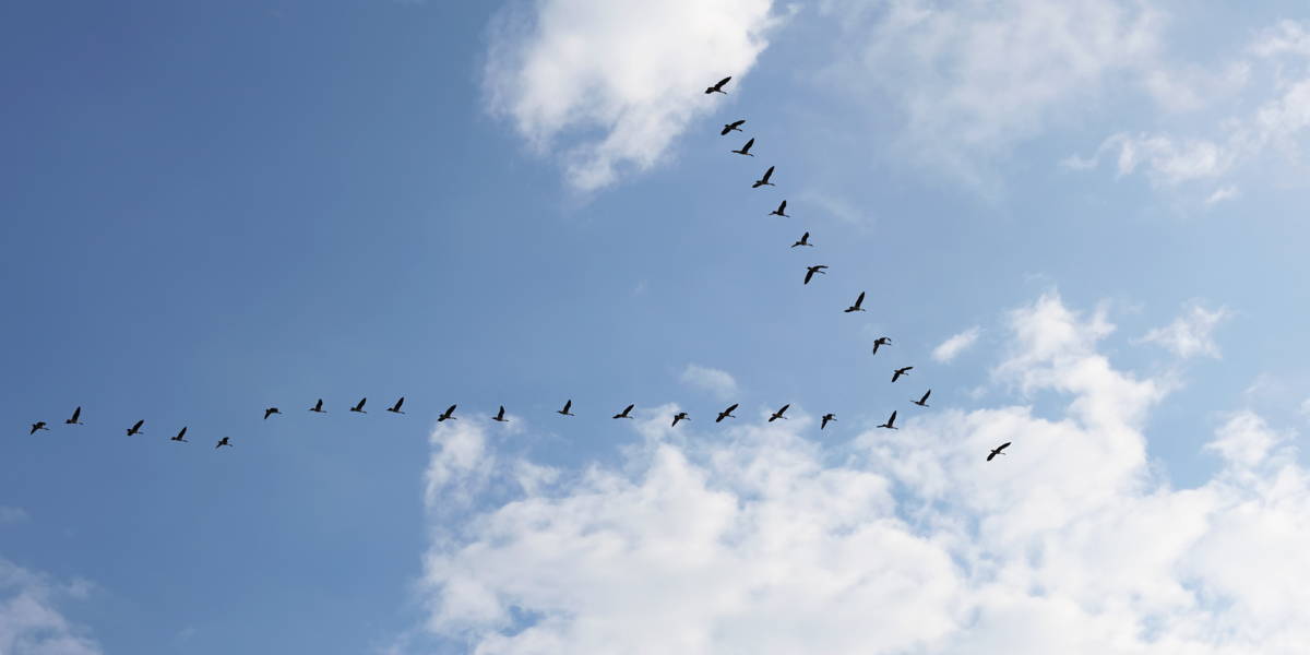 Eén routekaart om samen te werken aan het gezondheidsinformatiestelsel