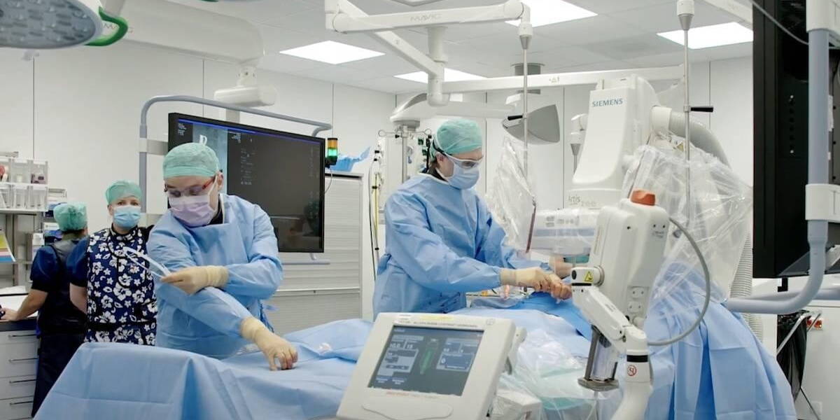 HybrideOK-Franciscus