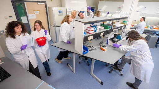 Bijna 29 miljoen voor radicaal nieuwe aanpak van darmkanker