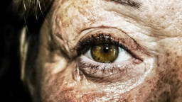 AI-powered eye scans reveal cardiovascular risk early