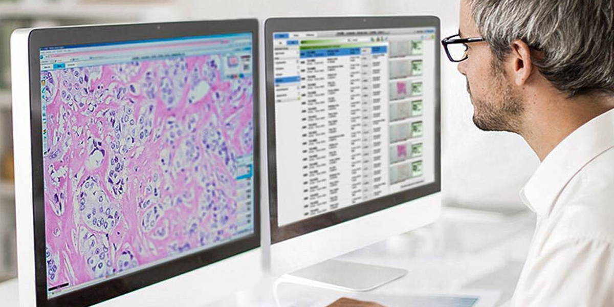 Digitale-Pathologie-AI