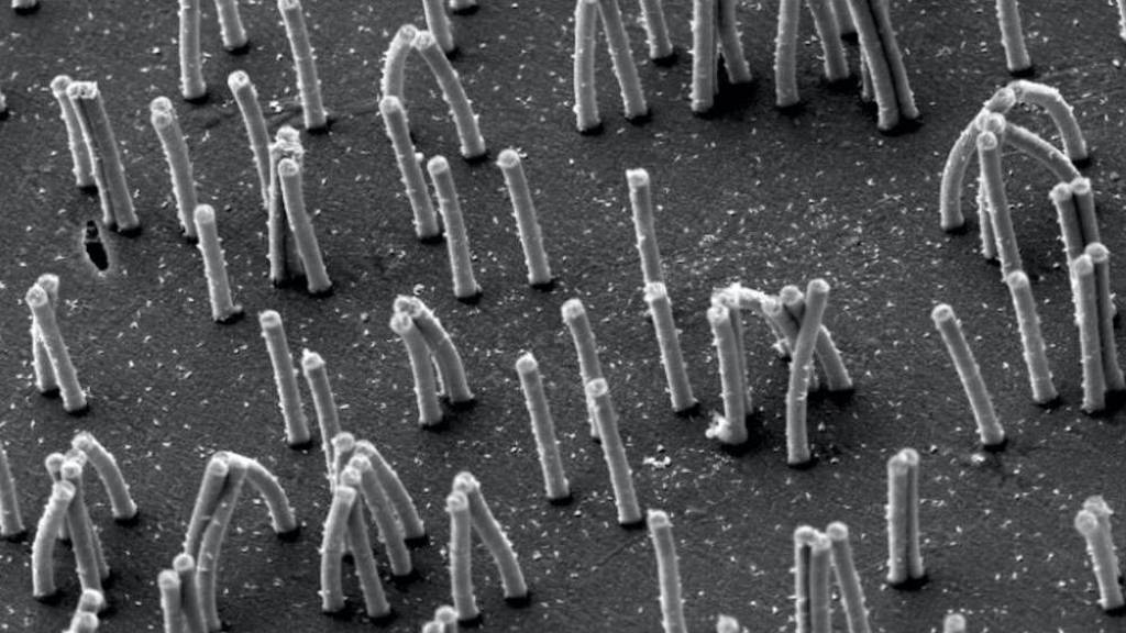 Kunstmatige-Trilhaartjes