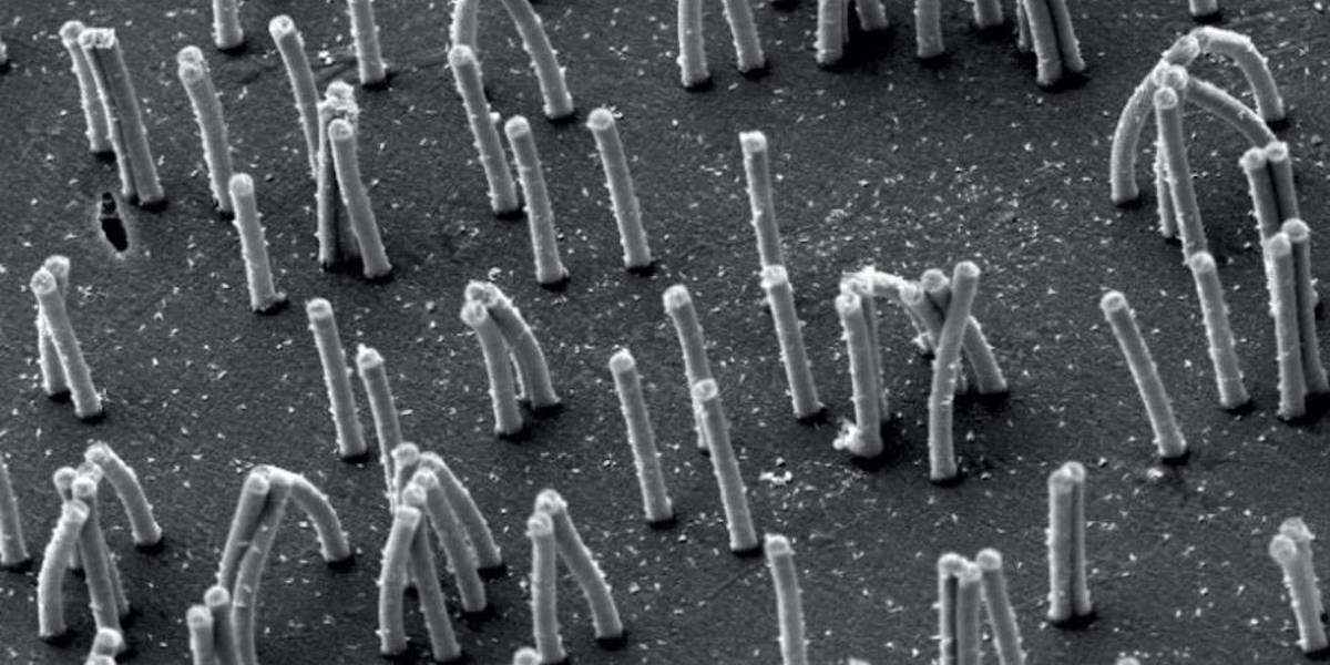 Kunstmatige-Trilhaartjes