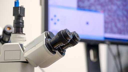 Radiologen en pathologen: gedeelde problemen, gezamenlijke oplossingen