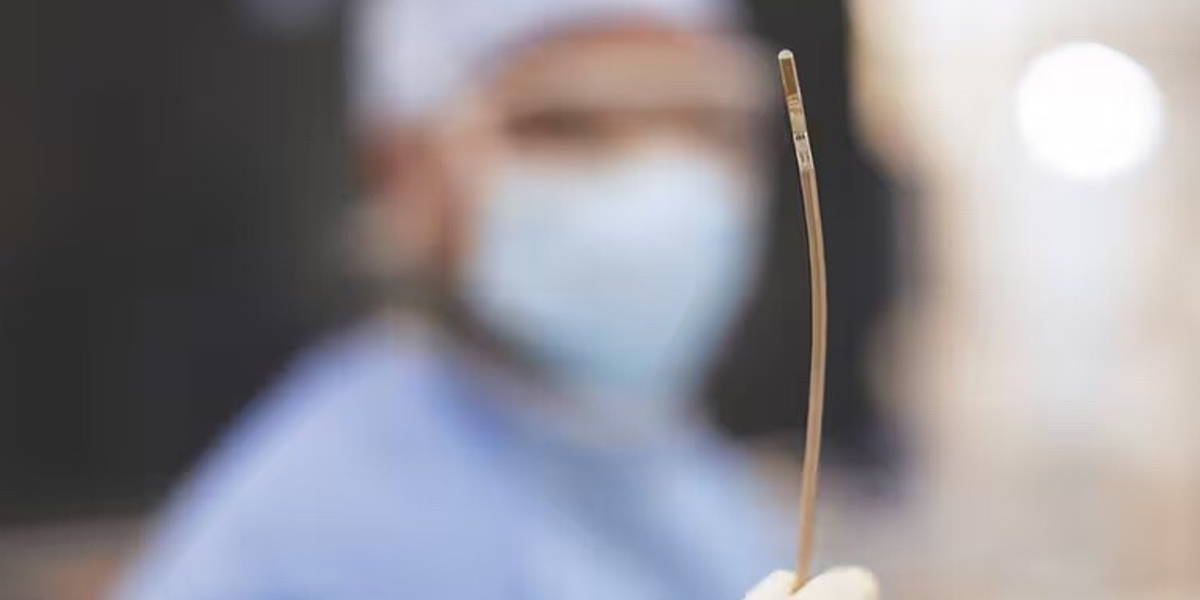 VeriSight-Pro-3D-echo