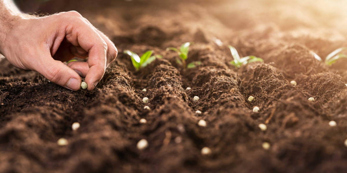 Innovation journey van een proeftuin voor e-health