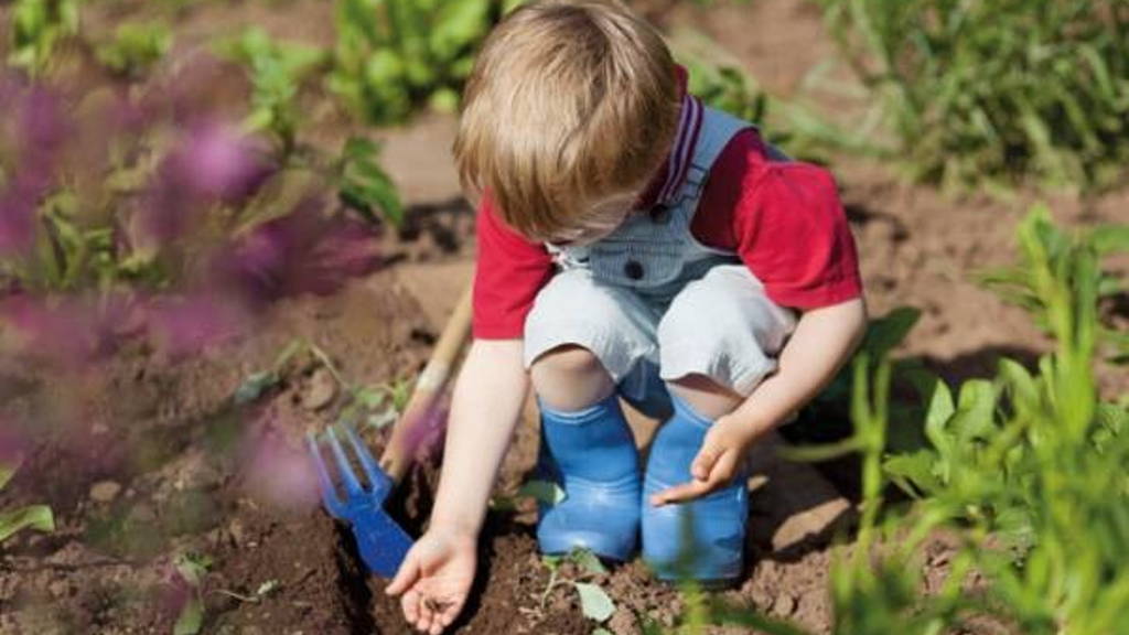 De potentie van beeld in de gezondheidszorg