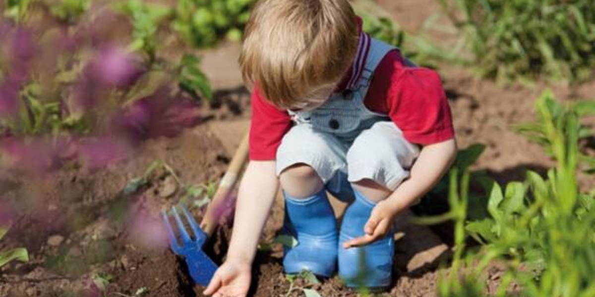 De potentie van beeld in de gezondheidszorg