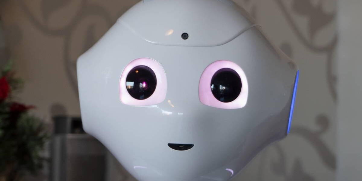 Phi-sociale-robot