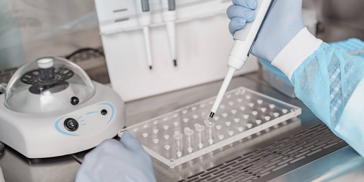 Beel dmedisch Lab