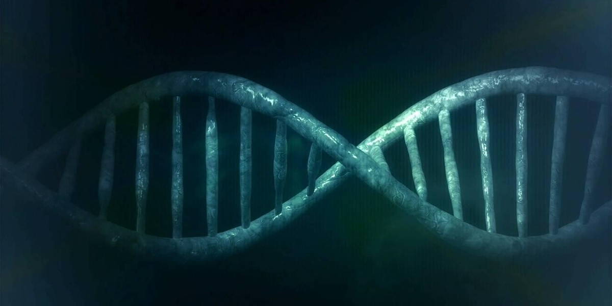 DNA