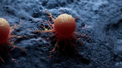 AI tool pinpoints high-risk cancer cells