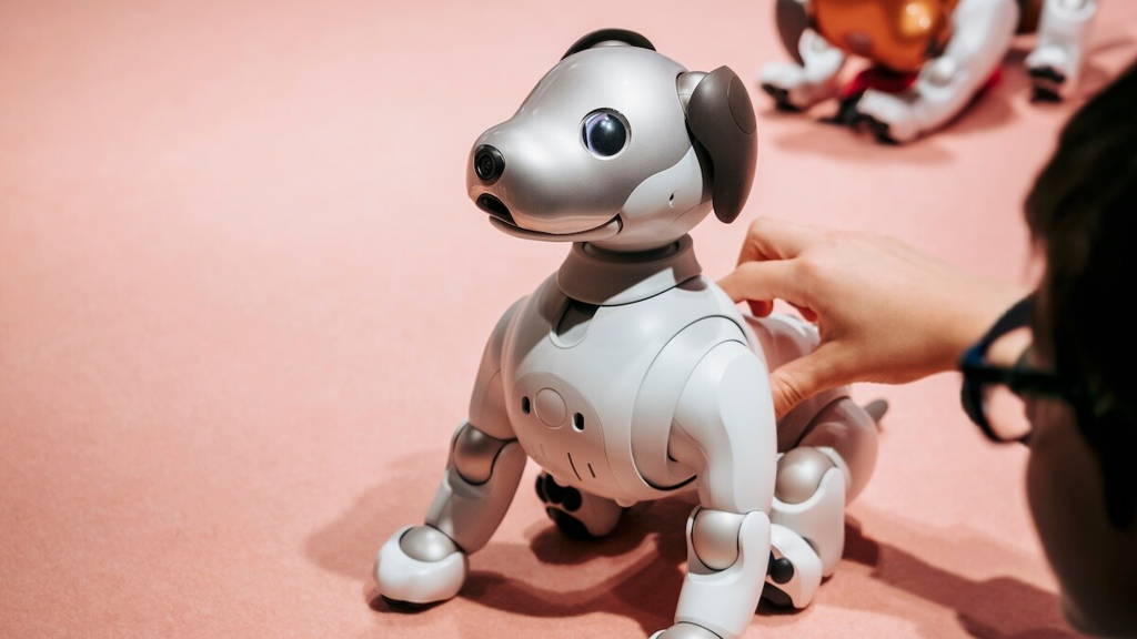 Robotic pets speed recovery in dementia patients